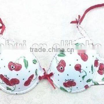 Cherry Bra/ Fashion Spandex Bra Sexy Bra Underwear Made in China photo-2