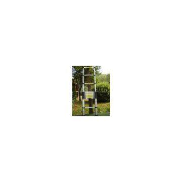 Telescopic Ladder