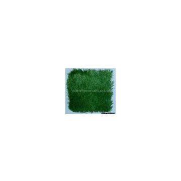 Sell Landscaping Artificial Lawn