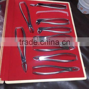 Extracting Forceps Adult