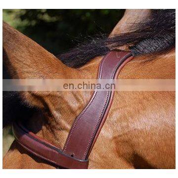 Horse Bridle Anatomic Shape