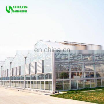 2017 China Aquaponic Automated Solar Energy Greenhouse