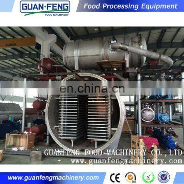 Hot Sale Acai Berry Freeze Drying Fruit Machine Lyophilized Fruit