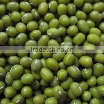 organic mung bean