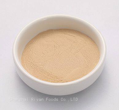 Shiitake Extract Powder CN