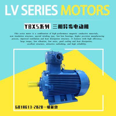 ATEX-Certified Flameproof Three-Phase Asynchronous AC Motor photo-4