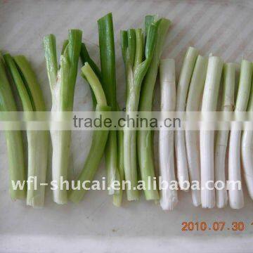 Scallions Cutter Machine/Onions Cutting Machine