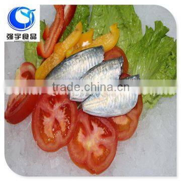 New Arrival Frozen Round Scad (Decapterus Lajang) Fish