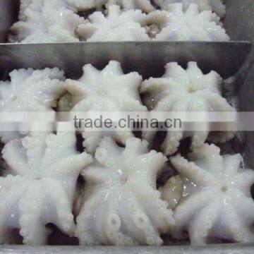 frozen baby Octopus/ frozen baby octopus cut