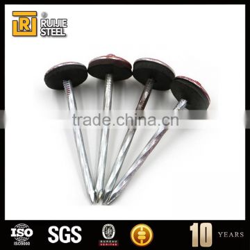 China supply galvanized nails/umbrella head roofing Nails