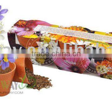 Mini flower-degradable pot