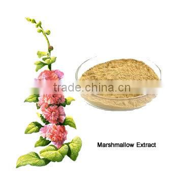 Super Althaea Officinalis Leaf Extract Powder Hot Sale