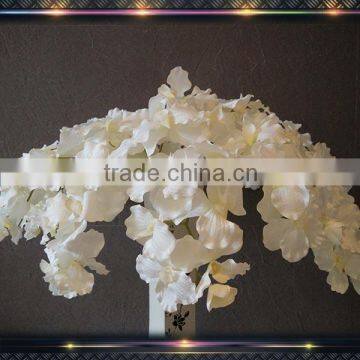 vanda orchids plants bulk silk orchids for sale