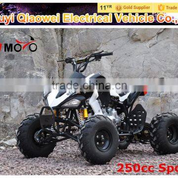 QWMOTO CE Kawasaka Style 250cc ATV 250cc quad Bike 250cc Quad ATV