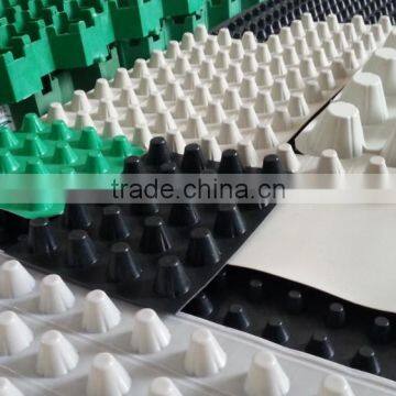 HDPE waterproof dimple drain board