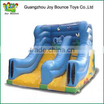 inflatable water slide used in amusement park for kids and adults