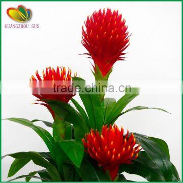 Garden Decoration Large Artificial Bonsai Tree for Sale photo-4