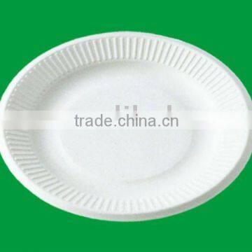 white paper plate/party plate/disposable paper plate