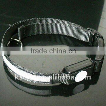 Nylon Dog Collar Economy