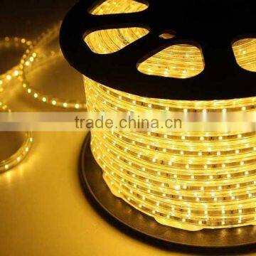 Outdoor Waterproof IP68 SMD 3528 AC Voltage 220v Led Strip