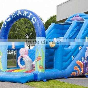 Exciting inflatable slide/inflatable water slide/giant inflatable slide for sale