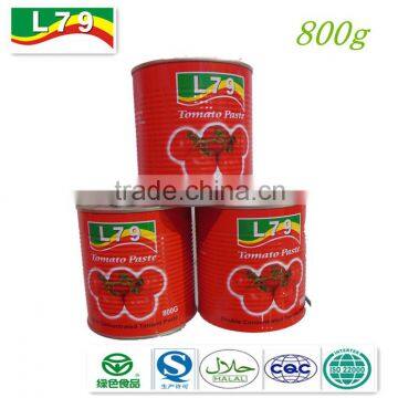 800g hot sell good quality of ningbo tomato paste factory/plant/manufacture/exporter