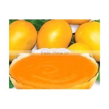 Alphonso Mango Pulp from india