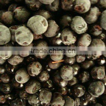 Georgia Organic IQF Frozen Bilberry