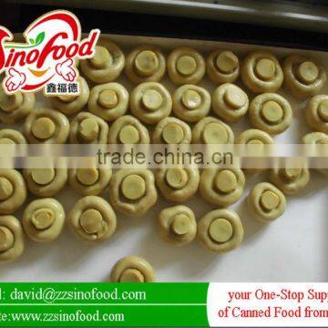 Good Quality canned mushrooms organic