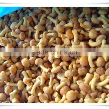 Best Selling Fresh Frozen Shiitake Mushroom photo-4