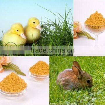 Feed Grade Supplements Powder