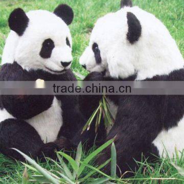 Professional Design Cute Factory Price Cute Cuddly Animals photo-2