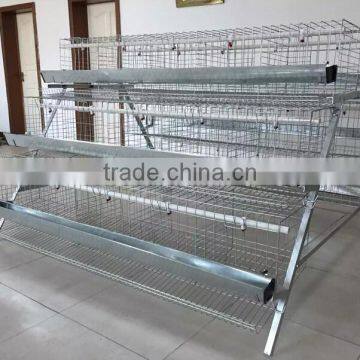 South Africa best sale galvanized layer chicken cage