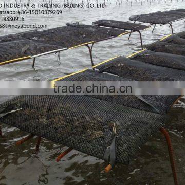 Hot Seal Oyster Mesh Bag Oyster Grown Bags in Canada Market