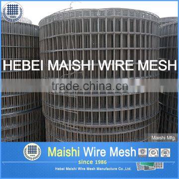 Golden Supplier Welded Wire Mesh photo-2