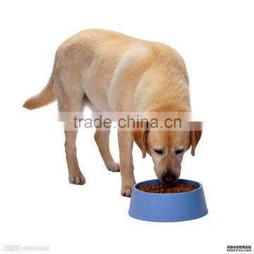 Single Screw Pet Food Machine photo-4