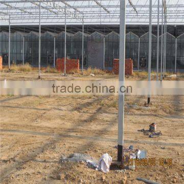 Sawtooth Type Commercial Greenhouse Industrial Greenhouse for Sale photo-2