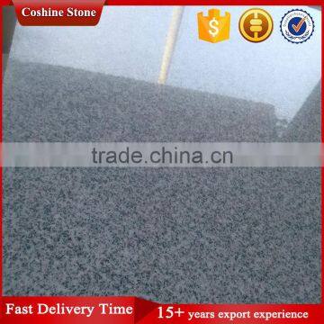 Hubei G603 Bianco Crystal Granite With Economic Price photo-6