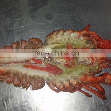 Frozen Cooked /raw Lobster