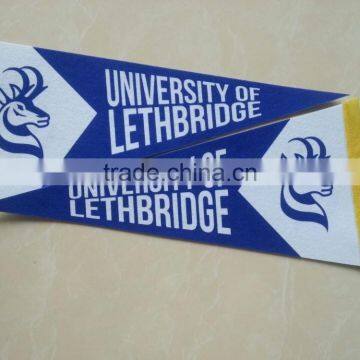 Double Side Printing Pennant photo-2