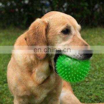 Pet Ball Toy Roller Spiky Massage Ball