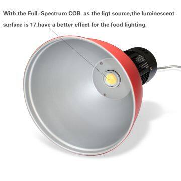 40W LED Pendant Light Food Display Lighting Lamp photo-3