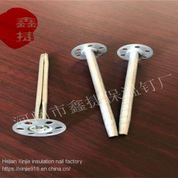 External Wall Metal Insulation Nail High Quality Wall Insulation Nail External Use of Engineering Insulation Nails photo-2