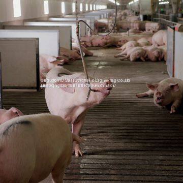 High Quality Building Pig Farm House Built With Structure Steel Pipe Truss