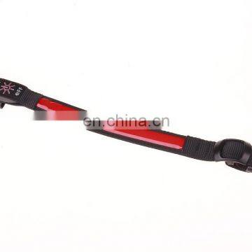 High Visibility Glowing Light up Led Dog Collar for Cute Cat photo-5