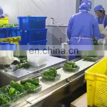 The newest pasta packing machine automatic