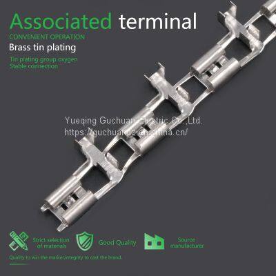 6.3 Flag Plug Spring Straight With Direct Feeding Brass Tinned Connector photo-5