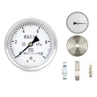 Stainless steel high pressure capsule pressure gauge