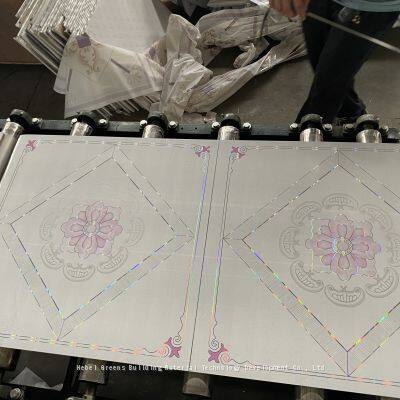 Small Scale Gypsum Board Lamination Machine 600*600 Gypsum Ceiling Tiles Making Machine photo-5