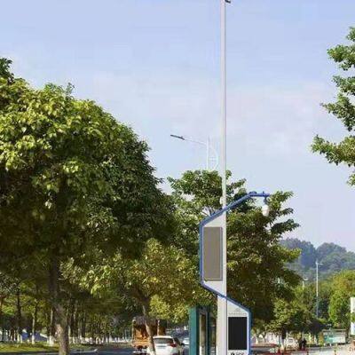 Polygonal Galvanized Steel Lamp Post Solar Street Light/Lighting Pole